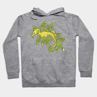 Leafy Seadragon Hoodie